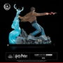 Tsume Harry Potter Figurine Ikigai 1/6