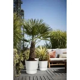 Elho Pot de fleurs GREENVILLE Rond 47, Extérieur en plastique recyclé Ø 47 x H 44,1 cm Blanc, Résistant au gel avec réservoir d'eau intégré