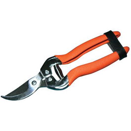 Riegolux Sécateur de Taille à une Main en Inox