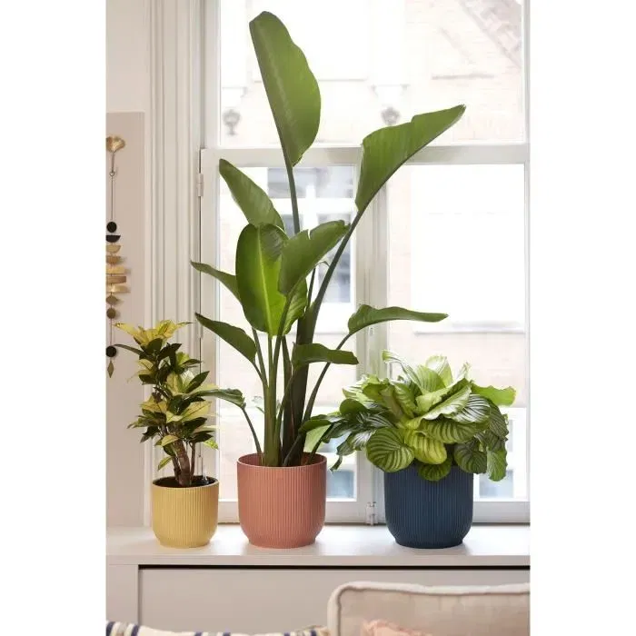 Elho Pot de Fleurs Rond VIBES en Plastique, Diamètre 25 cm x Hauteur 23 cm, Rose Poudré, pour Plantes d'Intérieur Elho Pot de Fleurs Rond VIBES en Plastique, Diamètre 25 cm x Hauteur 23 cm, Rose Poudré, pour Plantes d'Intérieur