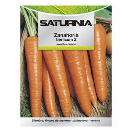 SATURNIA Semences de Carotte Berlicum (1,5 g)