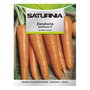 SATURNIA Semences de Carotte Berlicum (1,5 g)