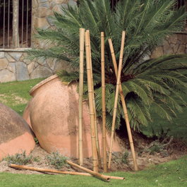Nortene Tuteur Décoratif En Bambou Couleur Naturelle Ø5-6,5cm X1,8m