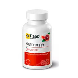 RAAB VITALFOOD Morosil 500mg 60 capsules Vegan