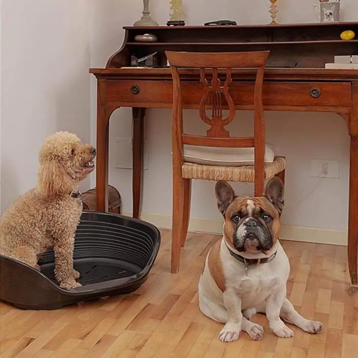 Ferplast Panier Siesta Deluxe Taille 6 pour Chien - Corbeille Plastique 70.5 x 52 x 23.5 cm - Noir