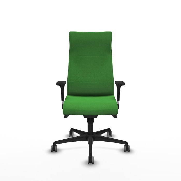 Piqueras Y Crespo Fauteuil Albacete Vert avec mécanisme Synchro et accoudoirs 1D Piqueras Y Crespo Fauteuil Albacete Vert avec mécanisme Synchro et accoudoirs 1D