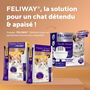 Alimentation humide Ceva Poulet