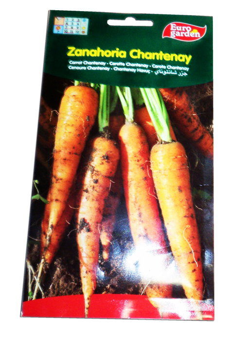 FITO Semences de carotte Chantenay 10 g FITO Semences de carotte Chantenay 10 g