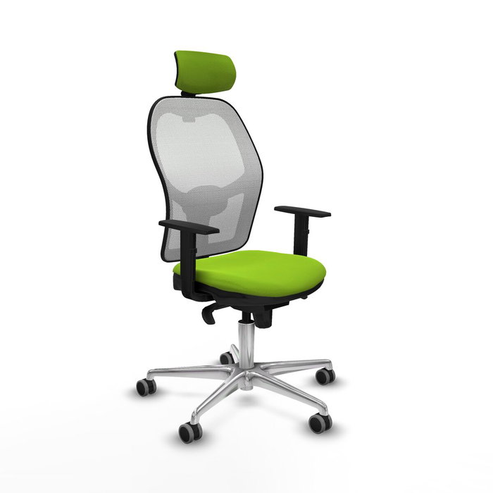 Piqueras y Crespo Chaise de Bureau 1D086G2 Pistache Piqueras y Crespo Chaise de Bureau 1D086G2 Pistache