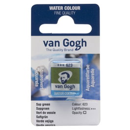 Van Gogh Aquarelle Pastille Verte Vessie 623