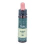 PLANTIS LARCH PLANTIS fleurs de bach Nº 19 10ml