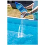 BSI pH Moins Poudre 1 kg - Réducteur pH piscine et spa