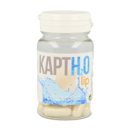 Ynsadiet Kapt H2O Lip avec H2O Slim 30 capsules végétales