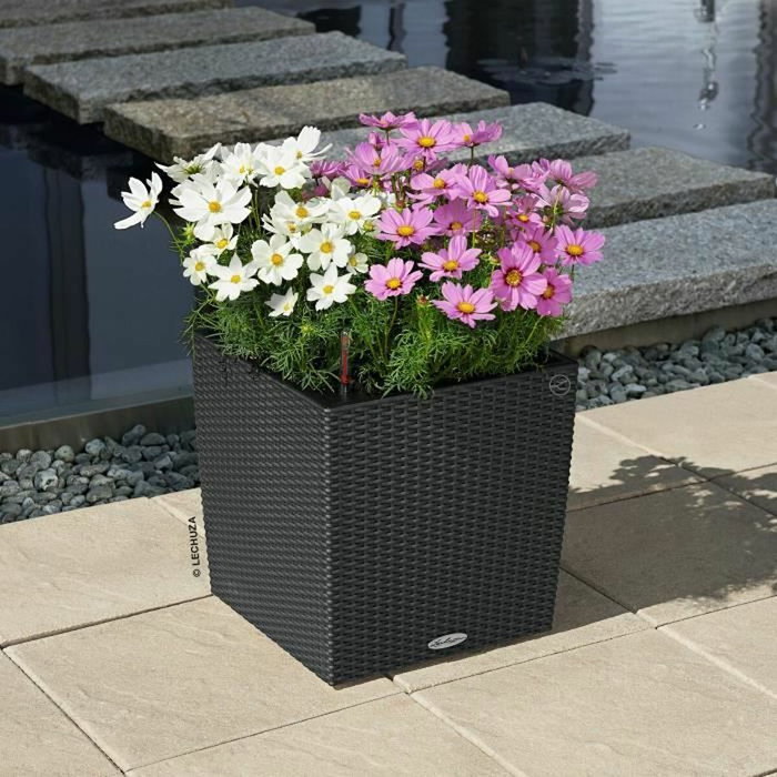 Lechuza Pot de fleurs Cube Cottage 40 Granit