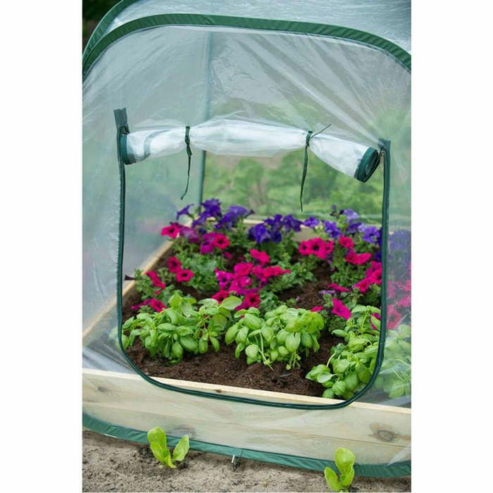 Nature Serre de jardin Pop-Up 100x100x100 cm - PE transparent