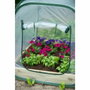 Nature Serre de jardin Pop-Up 100x100x100 cm - PE transparent