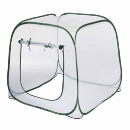 Nature Serre de jardin Pop-Up 100x100x100 cm - PE transparent