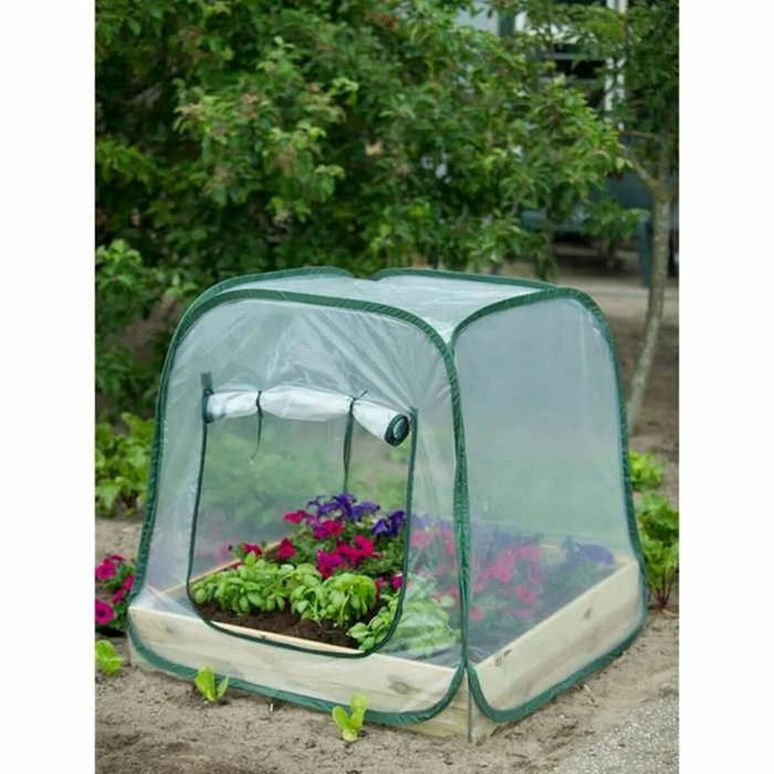 Nature Serre de jardin Pop-Up 100x100x100 cm - PE transparent