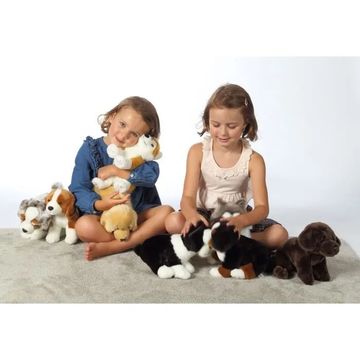 Gipsy Toys Peluche Chien Husky assis - 25 cm - Peluche réaliste