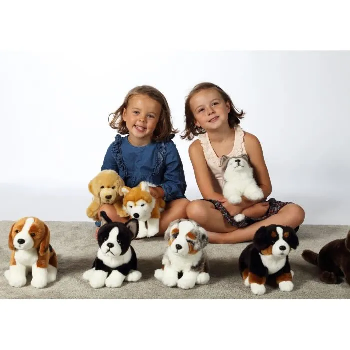 Gipsy Toys Peluche Chien Husky assis - 25 cm - Peluche réaliste