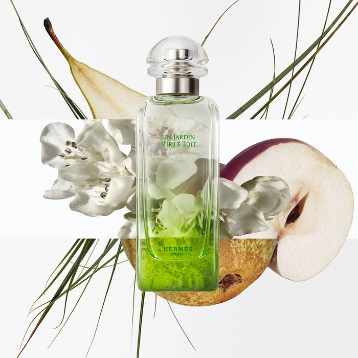 Hermès Un Jardin sur le Toit Eau de Toilette Vaporisateur 100 ml