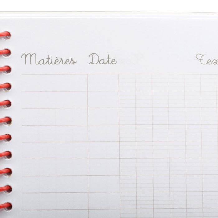 Createur de Genie Cahier Scolaire Millimétré 22x17 cm avec Spirale Createur de Genie Cahier Scolaire Millimétré 22x17 cm avec Spirale