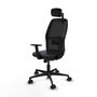 Chaise Alfera Synchro 4 positions tissu Gris foncé Maille Noir Base en nylon noir Accoudoir 1D Appui-tête 2D Roulettes 65mm nylon