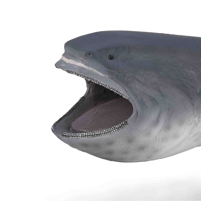 COLLECTA Tiburón Boca Ancha XL