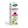 PHYTOBIOPOLE PHYTO-BIPOLE BIO ECHINACEA 50ml