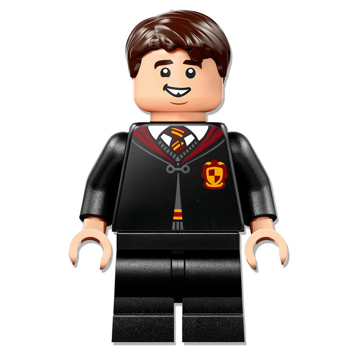 LEGO Harry Potter Le monstrueux livre des monstres 76449