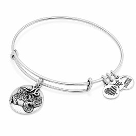 Alex And Ani Bracelet Capricorne ACA Plat Env Gris
