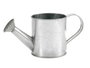 Ibergarden Arrosoir en Zinc 24,5x11x11 cm ~ 750 ml – Argent (Set de 24)