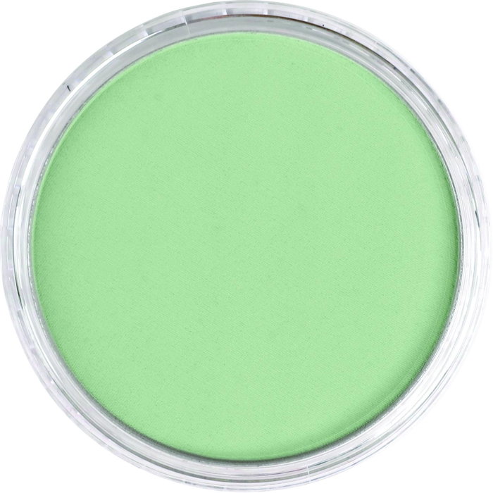 Panpastel 660.8 Oxyde de Chrome Vert Teinté Panpastel 660.8 Oxyde de Chrome Vert Teinté