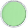 Panpastel 660.8 Oxyde de Chrome Vert Teinté
