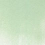 Panpastel 660.8 Oxyde de Chrome Vert Teinté