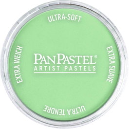 Panpastel 660.8 Oxyde de Chrome Vert Teinté