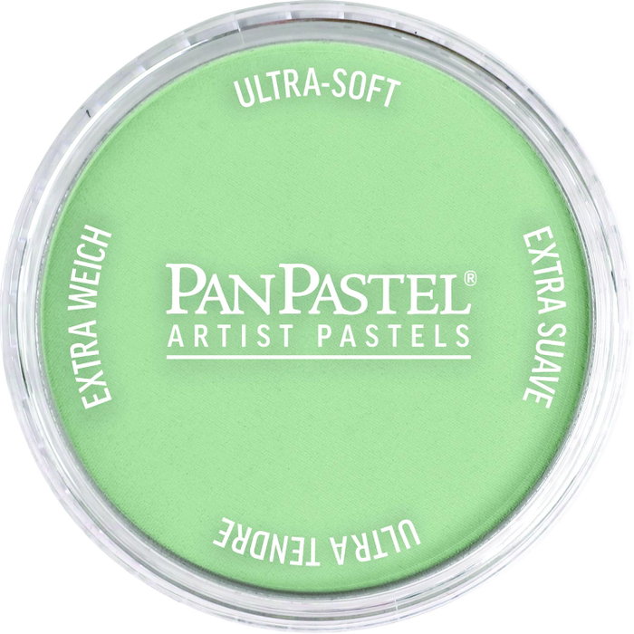 Panpastel 660.8 Oxyde de Chrome Vert Teinté Panpastel 660.8 Oxyde de Chrome Vert Teinté