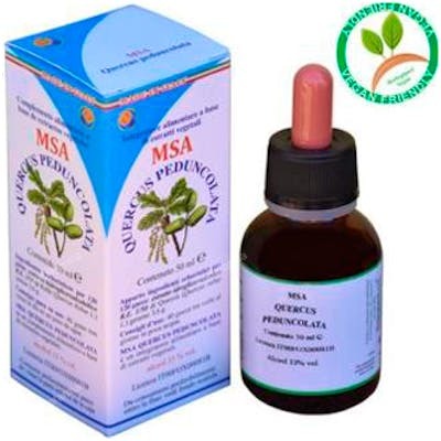HERBOPLANET Msa Quercus Peduncolata Yemas - Solución hidro-gliceroalcohólica Espagírica à base de jeunes bourgeons de chêne (Roble) - 50 ml HERBOPLANET Msa Quercus Peduncolata Yemas - Solución hidro-gliceroalcohólica Espagírica à base de jeunes bourgeons de chêne (Roble) - 50 ml