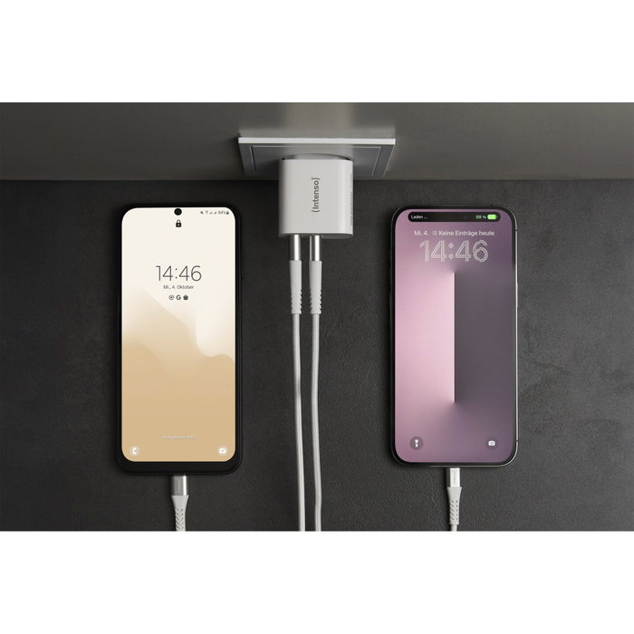 Intenso Cargador pared W24AA 2x USB-A blanc