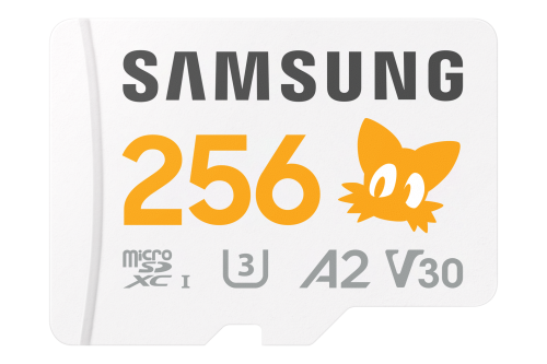 Samsung MB-MD256S MicroSDXC 256 Go avec adaptateur SD