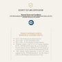 Cerdà Bluey - Parapluie manuel Burbuja pour enfants, longueur 45 cm, âge recommandé 2 à 8 ans, couleur bleue