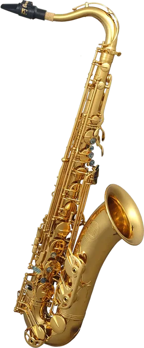 SML Saxophone Tenor T620-Ii SML Doré Laqué avec Kit BG SML Saxophone Tenor T620-Ii SML Doré Laqué avec Kit BG