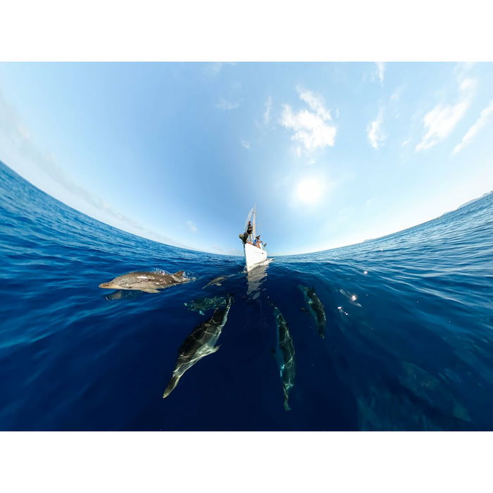 Appareil Photo Numérique GoPro CHDHZ-203-RW Noir