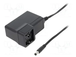 MEAN WELL GEM60I12-P1J 12V DC