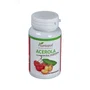 PLANTAPOL Acerola 90 comprimés à mâcher