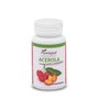 PLANTAPOL ACEROLA 90 comprimés masticables