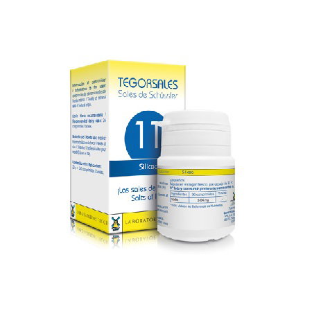 Tegor Tegorsales 11 Silicea 20 g