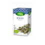 ARTEMIS BIO Boldo Infusion 20 filtres