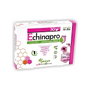 Pinisan Echinapro 30 capsules