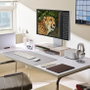 LG 32U990A-S Moniteur UltraFine 32 Pouces 6K IPS Black Thunderbolt 5 Écran Professionnel